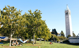 UC Berkeley Global Summer Sessions